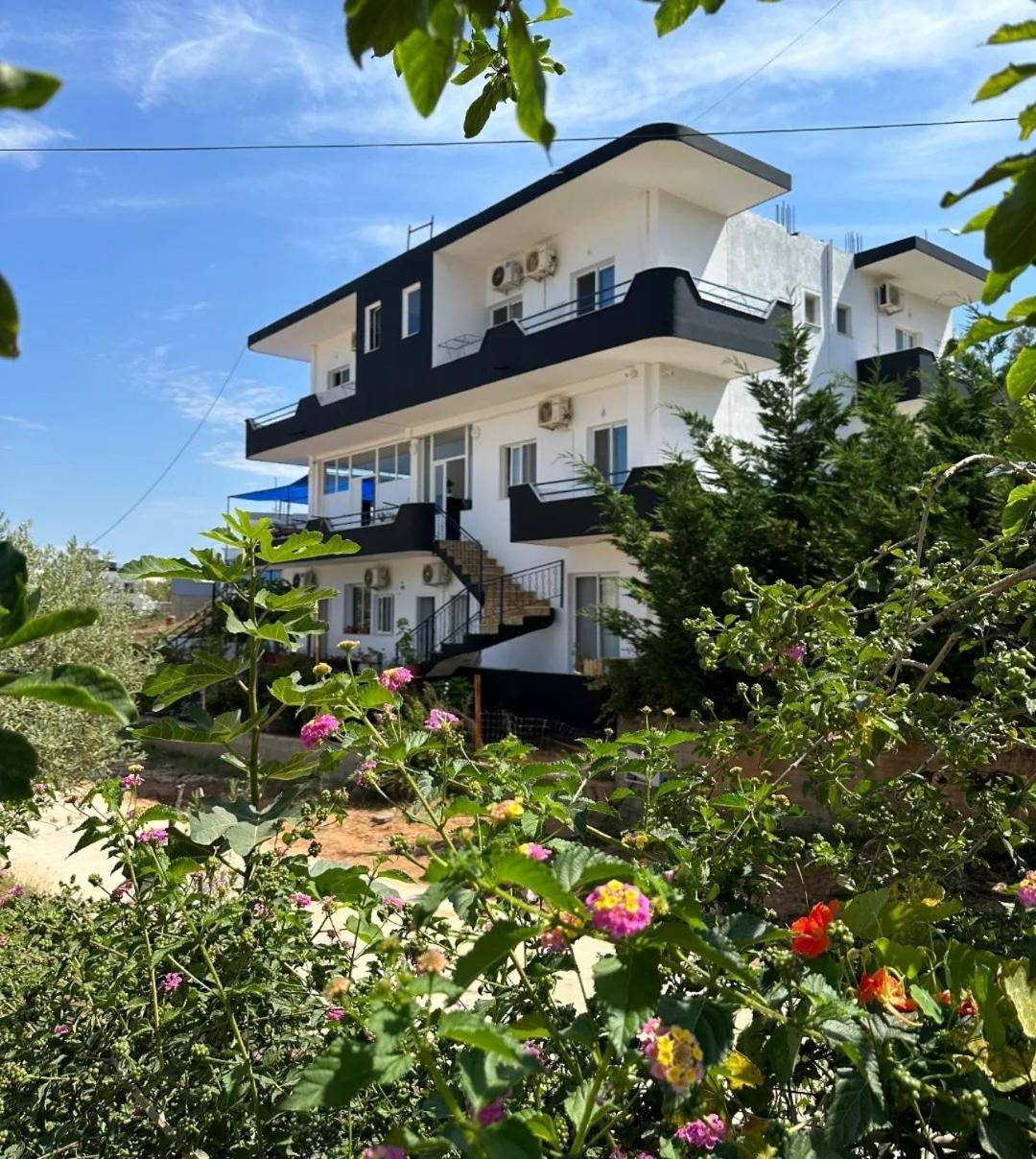 Villa Memushaj كساميل المظهر الخارجي الصورة